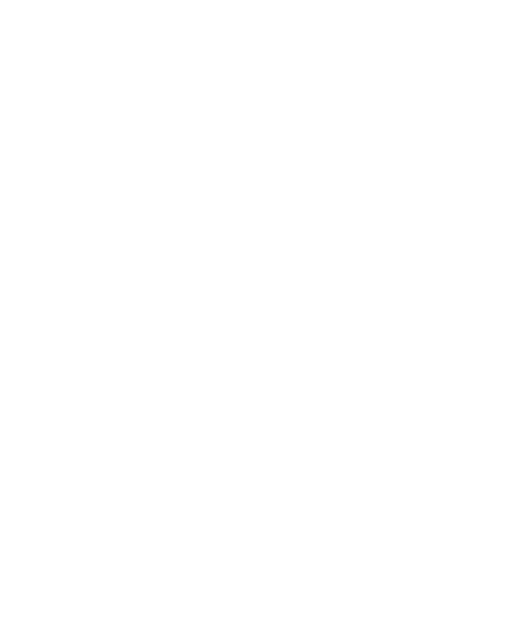 Logo The Stephen Moylan Foundation Butterfly